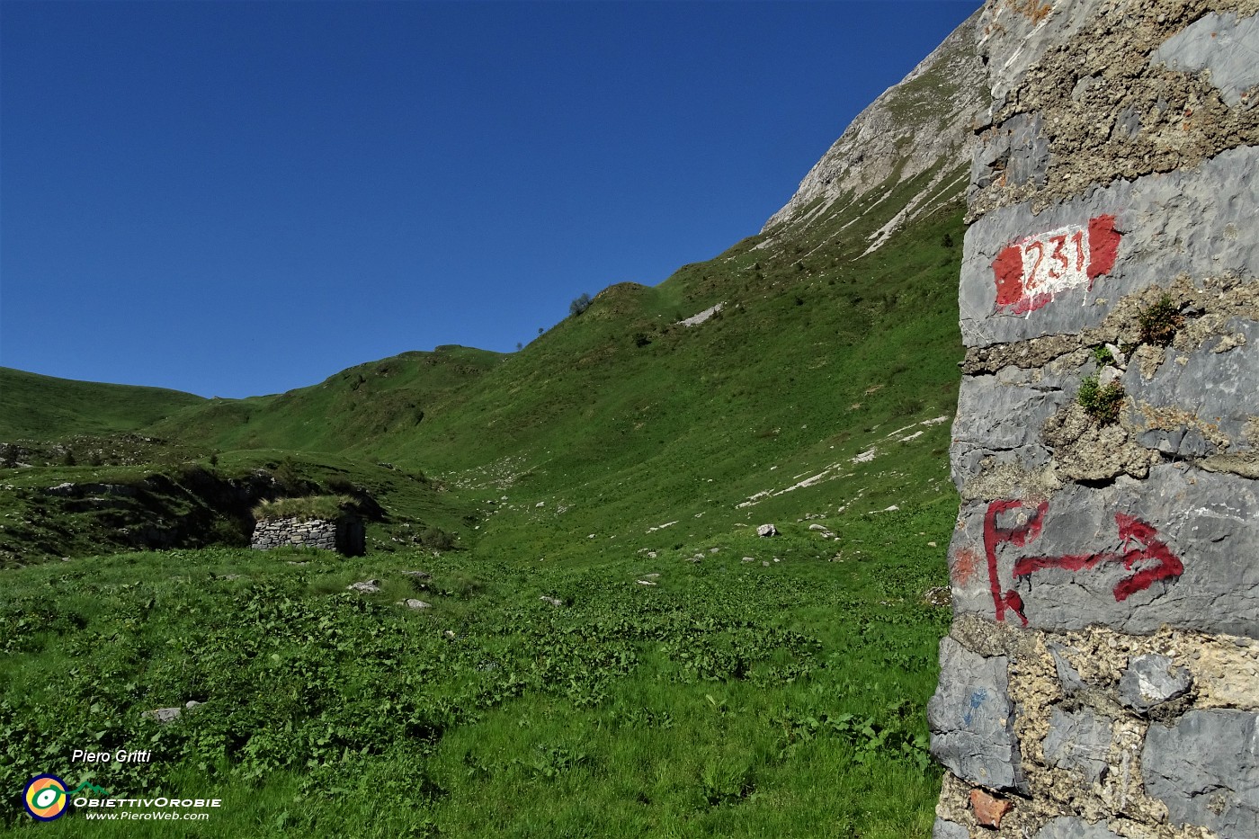 82 Sul sent. 231 alla Casera di Vedro (1674 m).JPG